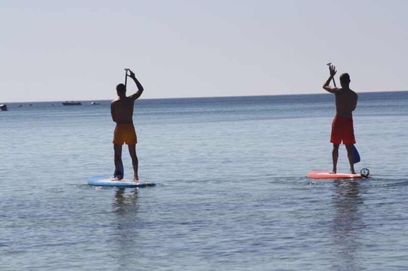 Pêra Formation: Stand Up Paddle Hire - Experience Highlights