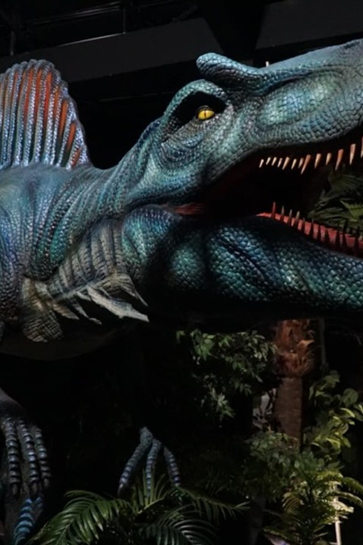 Perak: Dinosaur Encounter World Batu Gajah Admission Ticket - Accessibility and Facilities