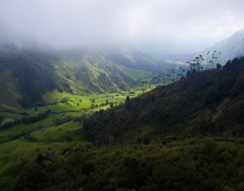 Pereira/Armenia: Private Cocora Valley & Salento Hiking Tour - Experience Highlights