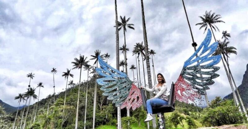 Pereira/Armenia: Private Cocora Valley & Salento Hiking Tour - Customer Reviews and Feedback