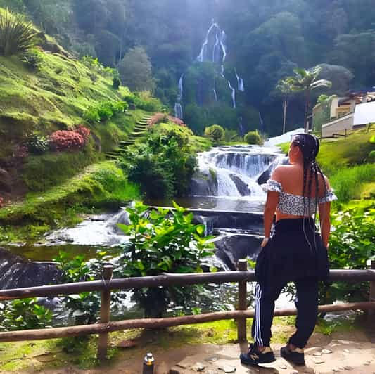 PEREIRA/ARMENIA: PRIVATE TRANSFER AND TOURS TO THERMAL BATHS + SANTA ROSA - Recap