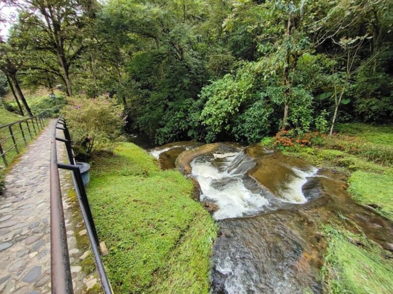 PEREIRA/ARMENIA: PRIVATE TRANSFER AND TOURS TO THERMAL BATHS + SANTA ROSA - Participant Restrictions