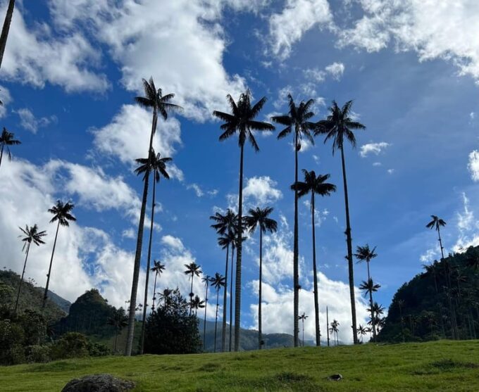 PEREIRA/ARMENIA: PRIVATE TRANSFER TO SALENTO + INDIVIDUAL COCORA VALLEY - Booking and Availability