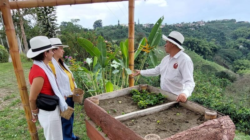 Pereira: Family Traditions Coffee Experience - Key Points