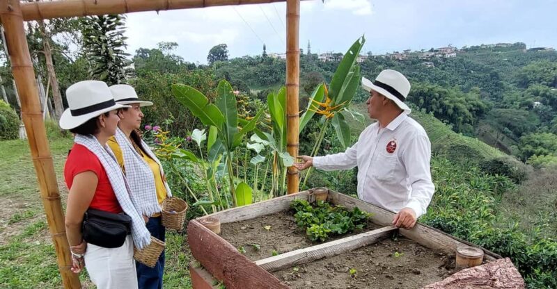 Pereira: Family Traditions Coffee Experience - Authentic Coffee Farm