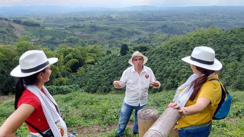 Pereira: Family Traditions Coffee Experience - Family Traditions and History