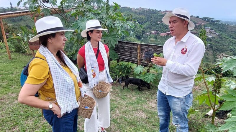 Pereira: Family Traditions Coffee Experience - Hands-on Coffee Experience