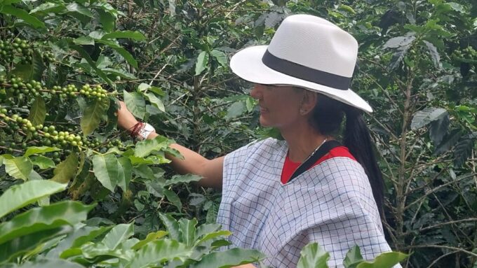 Pereira: Family Traditions Coffee Experience - Culinary Delights