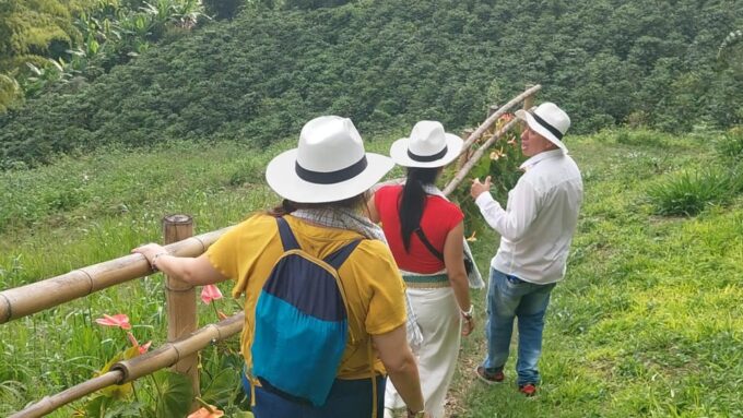 Pereira: Family Traditions Coffee Experience - Preparation and Restrictions