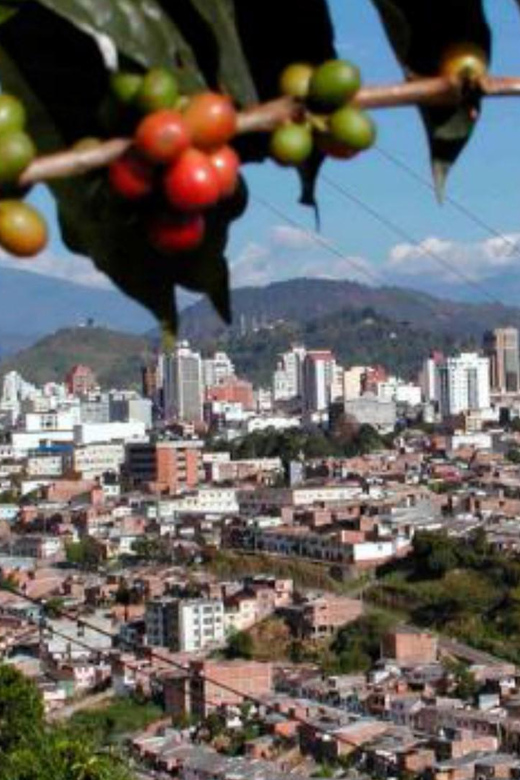 Pereira to Manizales (Or Vice Versa) - Private Transport - Experience Highlights