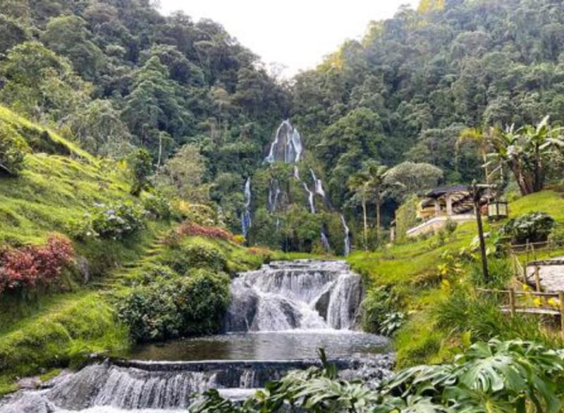 Pereira to Santa Rosa, Manizales & Back Private Transport - Booking Details