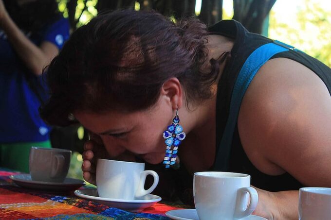 PEREIRA to Viterbo for a Coffee and Cacao Full Day Tour - Culinary Experience