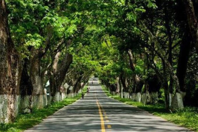 Pereira to Viterbo (Or Vice Versa) - Private Transport - Frequently Asked Questions