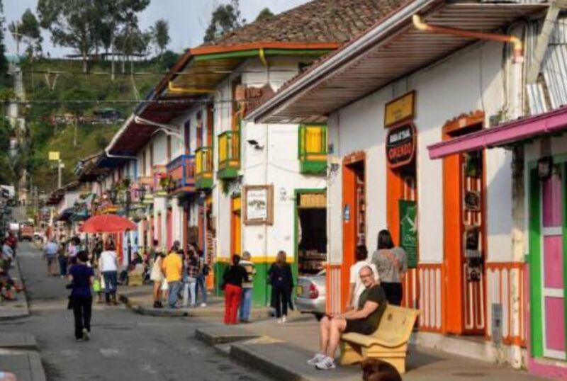 Pereira: Wax Palms, Coffee, and Salento - Coffee Tour Experience