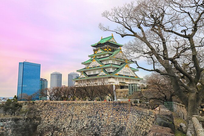 Perfect 4 Day Sightseeing in Japan - English Speaking Chauffeur - Additional Information