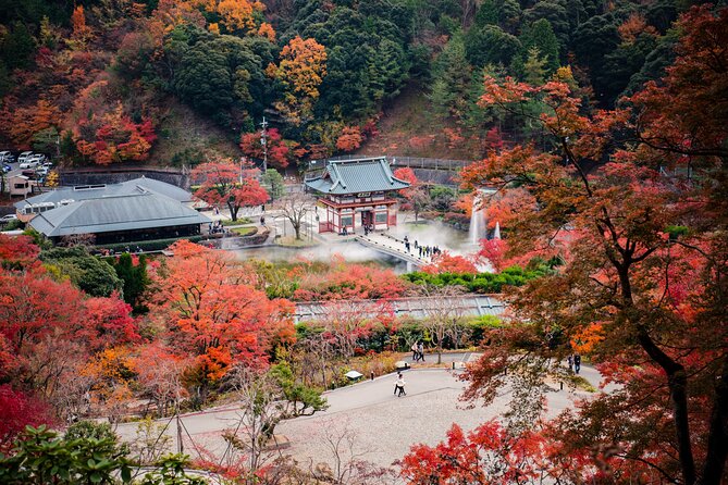 Perfect 4 Day Sightseeing in Japan - English Speaking Chauffeur - Exploring Kyotos Temples