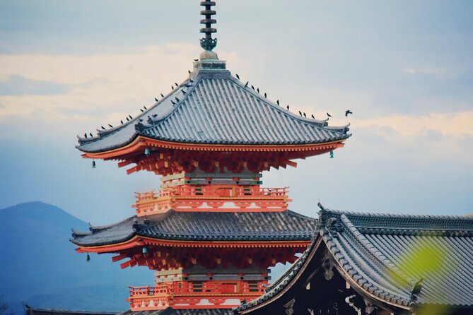 Perfect 4 Day Sightseeing in Japan - English Speaking Chauffeur - Discovering Naras Attractions
