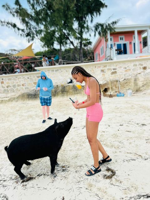 Perfect Day - Swimming Pigs, Snorkel & Beach Club - Key Points