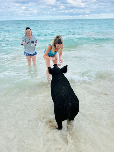 Perfect Day - Swimming Pigs, Snorkel & Beach Club - Itinerary and Experience