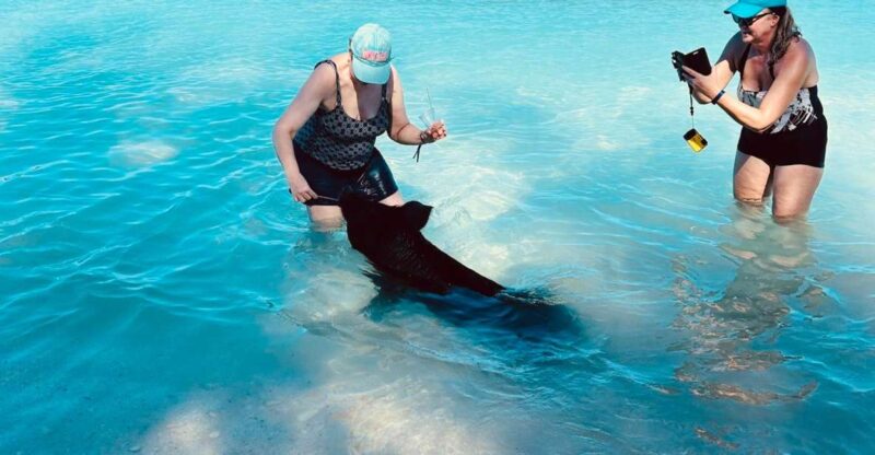 Perfect Day - Swimming Pigs, Snorkel & Beach Club - Inclusions and Exclusions