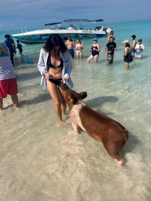 Perfect Day - Swimming Pigs, Snorkel & Beach Club - Cancellation and Refund Policy