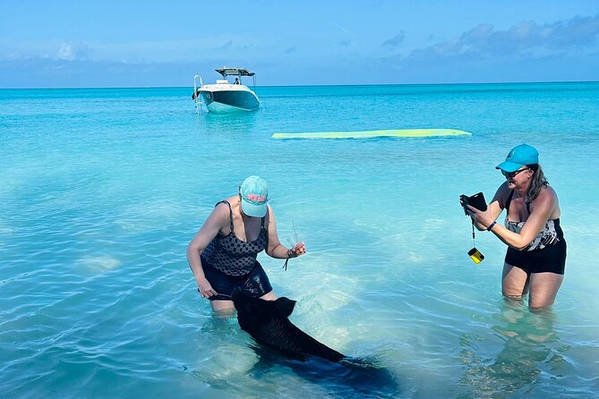 Perfect Day - Swimming Pigs, Snorkel & Lunch - Friendly Staff and Pigs
