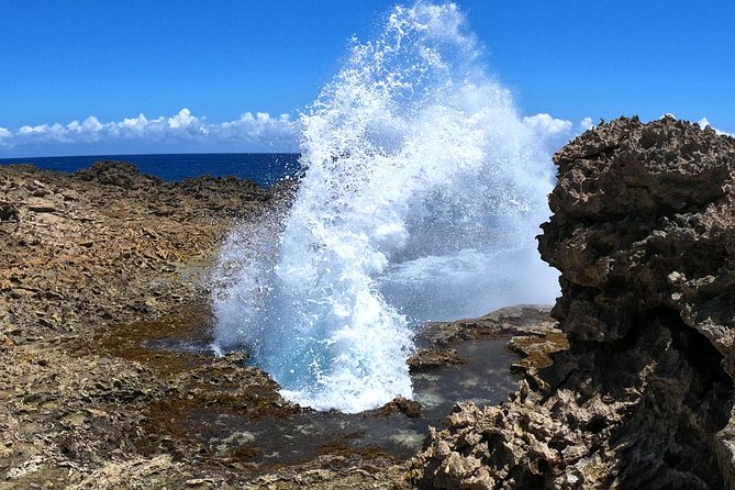 Perfect Day Tour - Small Group! - Inclusive Island Experience