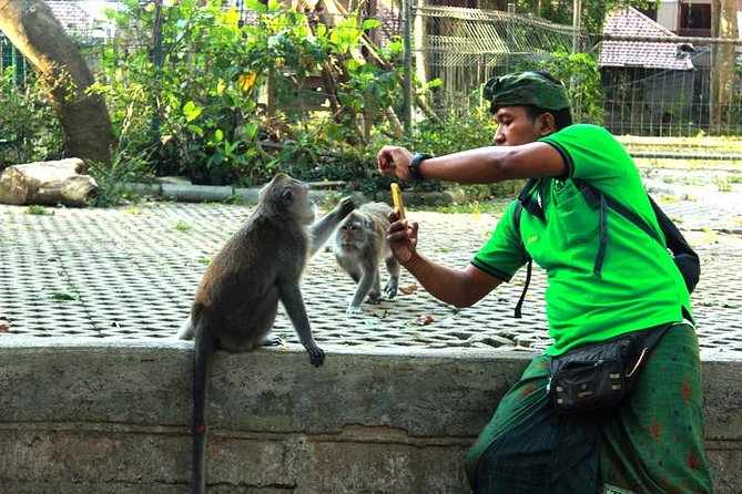 Perfect Day Trip to Ubud - Pickup and Transportation Details