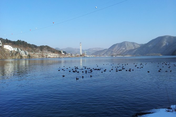 [Perfect Private Tour] Strawberry Farm & Nami Island & Lunch - Explore Nami Island
