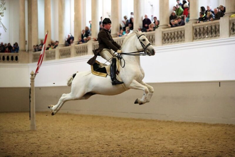 Performance Of The Lipizzans At Spanish Riding School - Captivating Ballet Routines