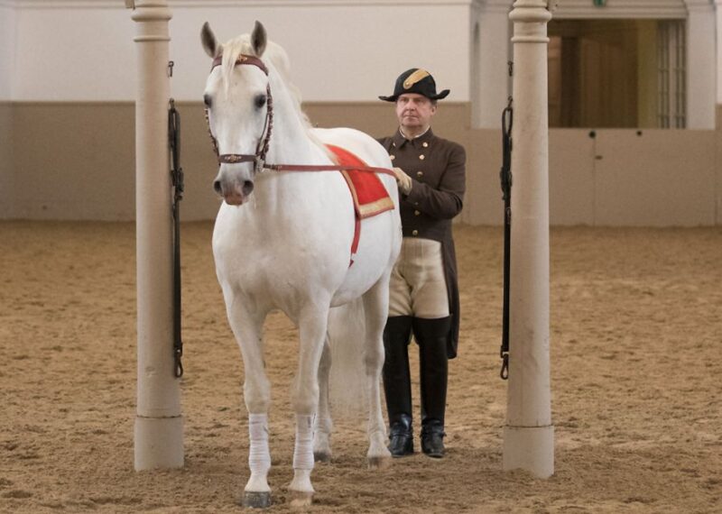 Performance Of The Lipizzans At Spanish Riding School - Exceptional Performance Venue