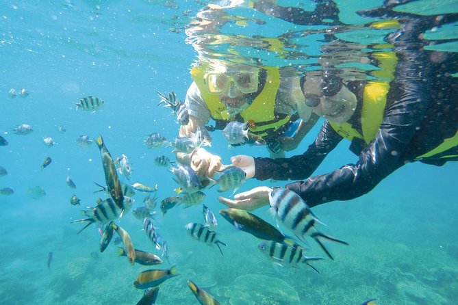 Perhentian Island Free & Easy With Snorkeling Trips 3D2N - Important Guidelines and Safety