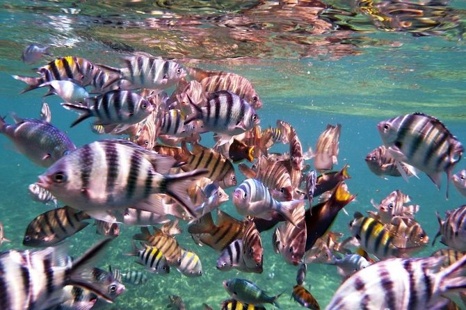 Perhentian Island Free & Easy With Snorkeling Trips 3D2N - Marine Conservation Fund