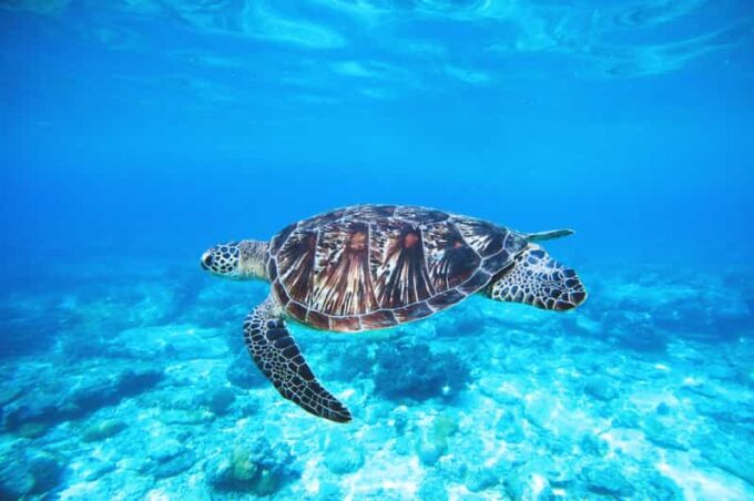 Perhentian Islands, Terengganu From Kuala Lumpur 4D3N - Suitability and Restrictions