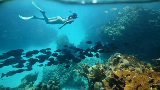 Perhentian Islands, Terengganu From Kuala Lumpur 4D3N - Language and Payment