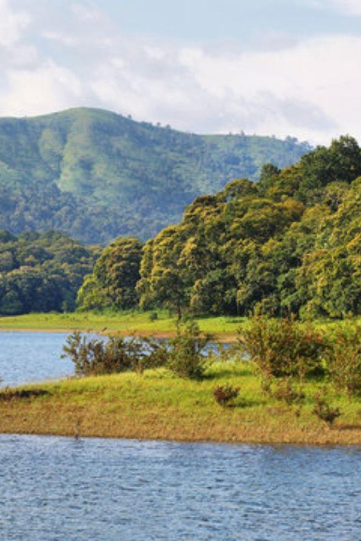 Periyar Wildlife Sanctuary Tour (02 Nights / 03 Days) - Key Points