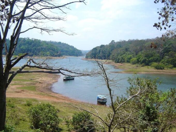 Periyar Wildlife Sanctuary Tour (02 Nights / 03 Days) - Accommodation Options