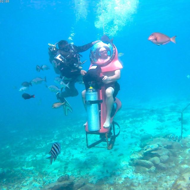 Personal Mini Submarine Dive Adventure in Cozumel - Guidance and Safety