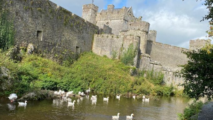 Personal Tour From Dublin: Rock of Cashel Cahir Castle &More - Booking and Flexibility