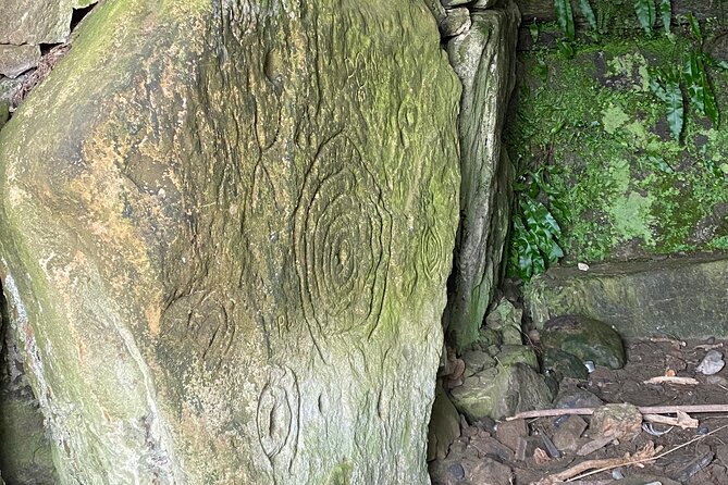 Personal Tour: Hill of Tara Trim Castle Boyne Valley Celtic Sites - Reviews