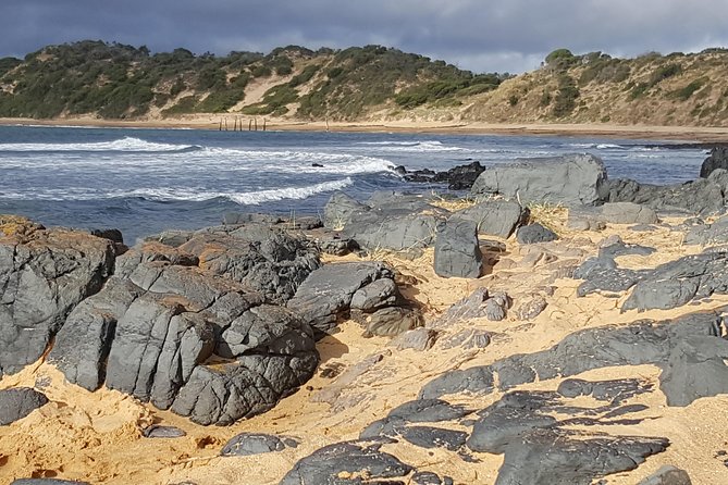 Personalised Private Tours Melbourne With Luxury Chauffeurs - Customer Feedback