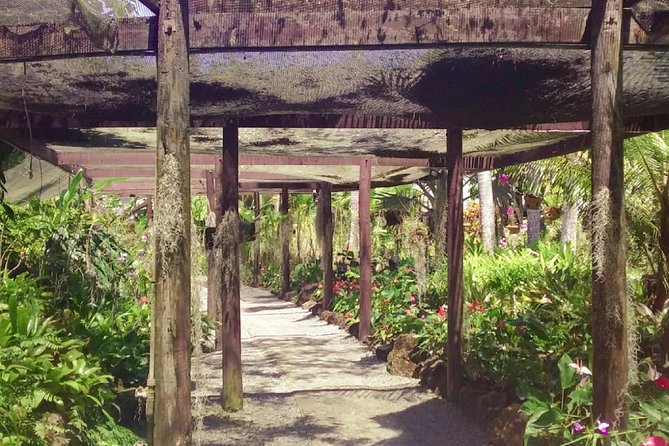 Personalize Nadi Day Tour - Inclusions