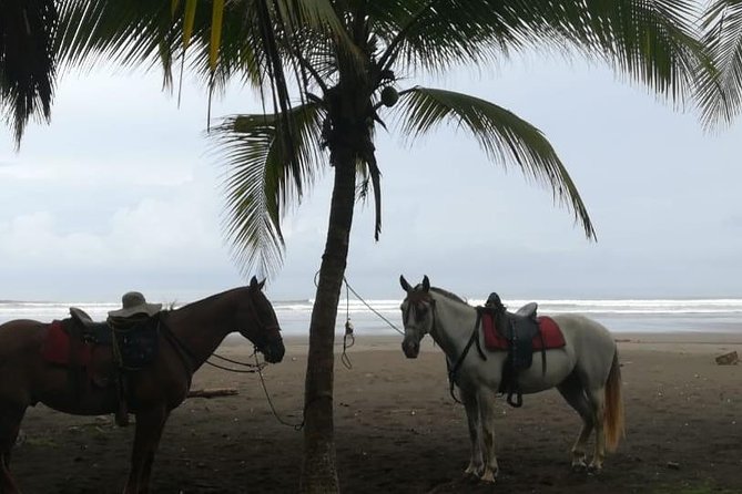 Personalized Beach Adventure Near Jaco - Nearby Attractions