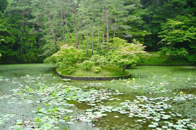 Personalized Half-Day Tour in Kyoto for Your Family and Friends. - Cancellation Policy