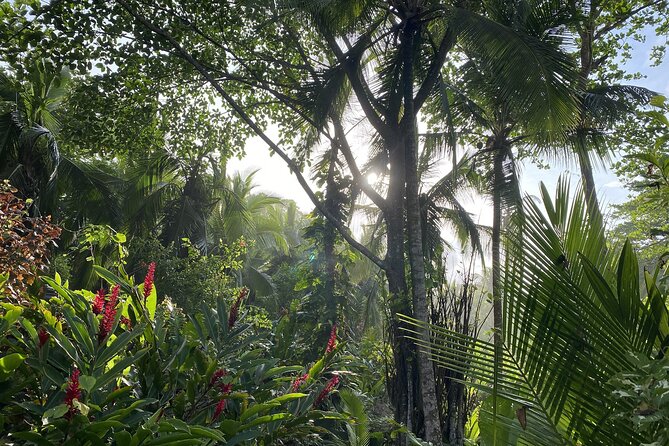Personalized Private Tour Experience - Costa Rica - Key Points