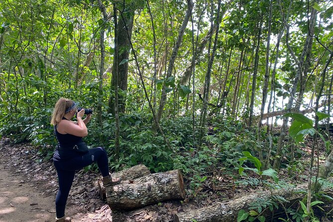 Personalized Private Tour Experience - Costa Rica - Itinerary Details