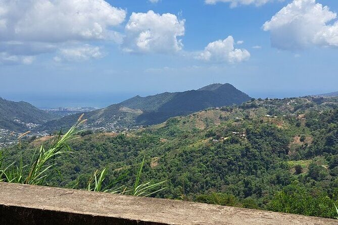 Personalized Private Tour The Paramin Hills - A Deep Dive into the Paramin Hills Private Tour