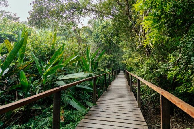 Personalized Tours: Tambopata Adventure Rainforest 4d/3n - Participant Information
