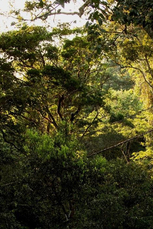 Personalized Tours: Tambopata Jungle Adventure 4D3N - Key Points