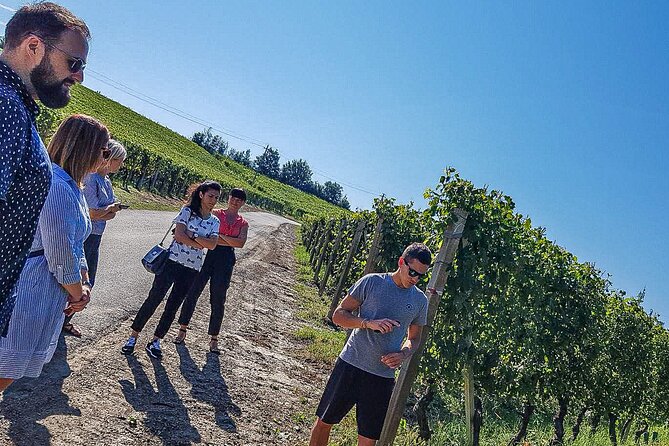 Personalized Wine and Food Experiences in Alba - Pricing and Booking